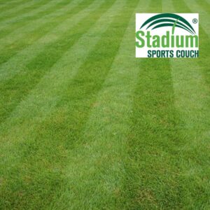 Stadium Couch Turf