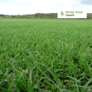 Wintergreen Turf Couch
